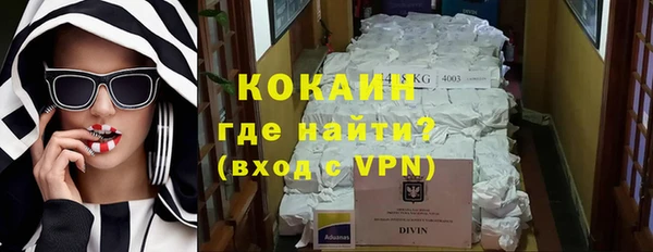 хмурый Каменка