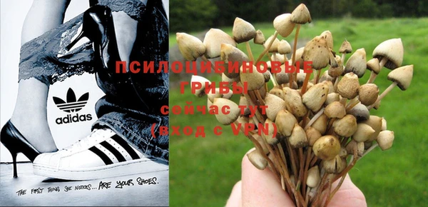 синтетический гашиш Абинск